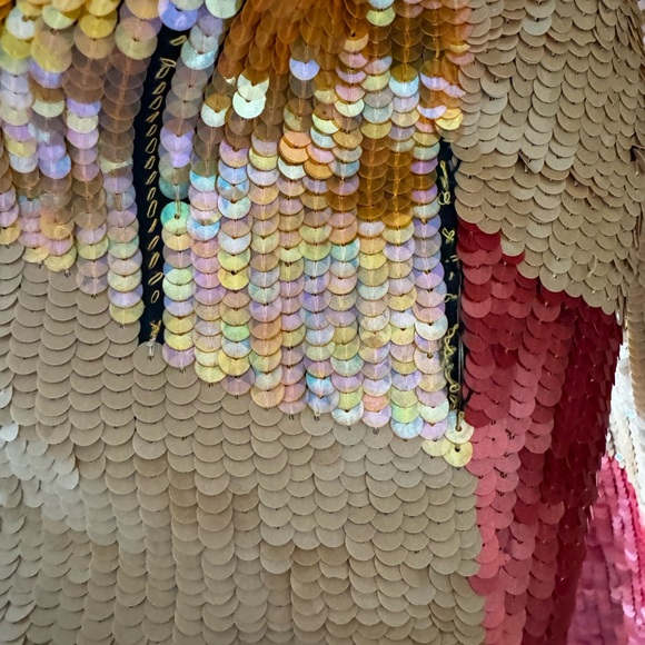 Cactus Desert Sequins Jacket - Picture 16 of 16